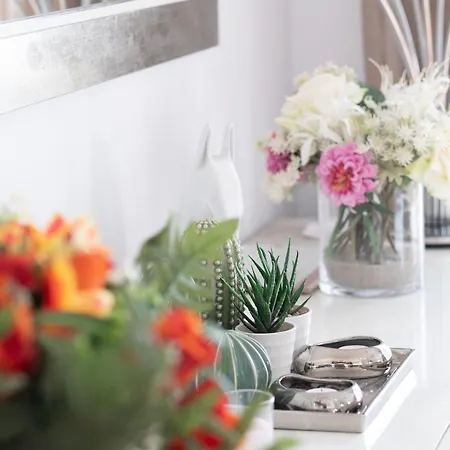 Wishenjoy San Fulgencio