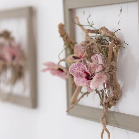 Willa Wishenjoy San Fulgencio