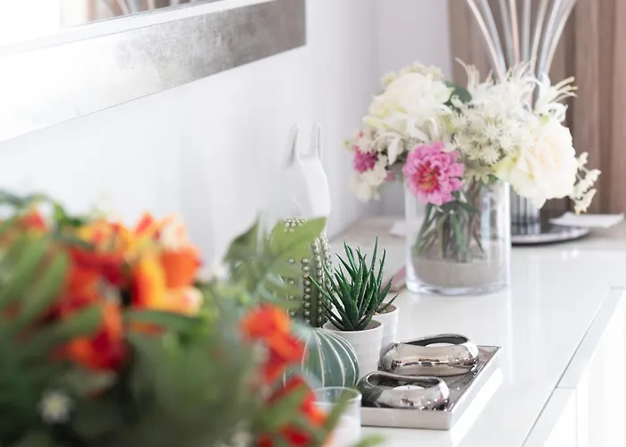 Wishenjoy San Fulgencio